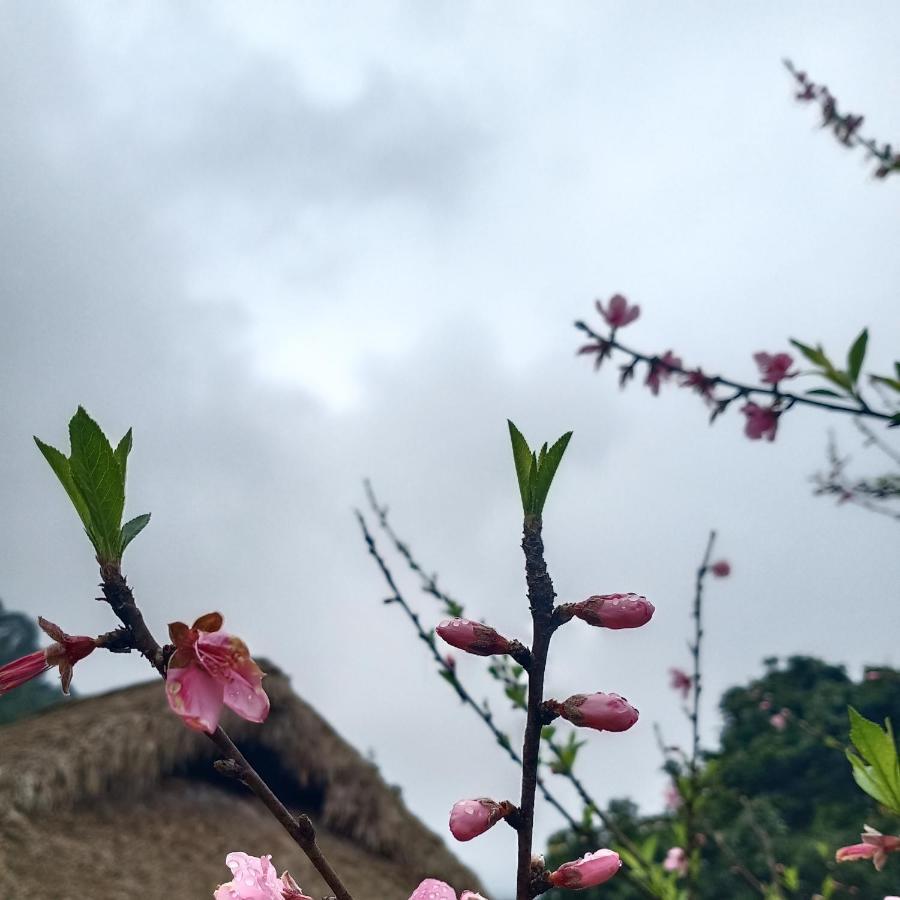 Dao Homestay Hoang Su Phi Exteriér fotografie