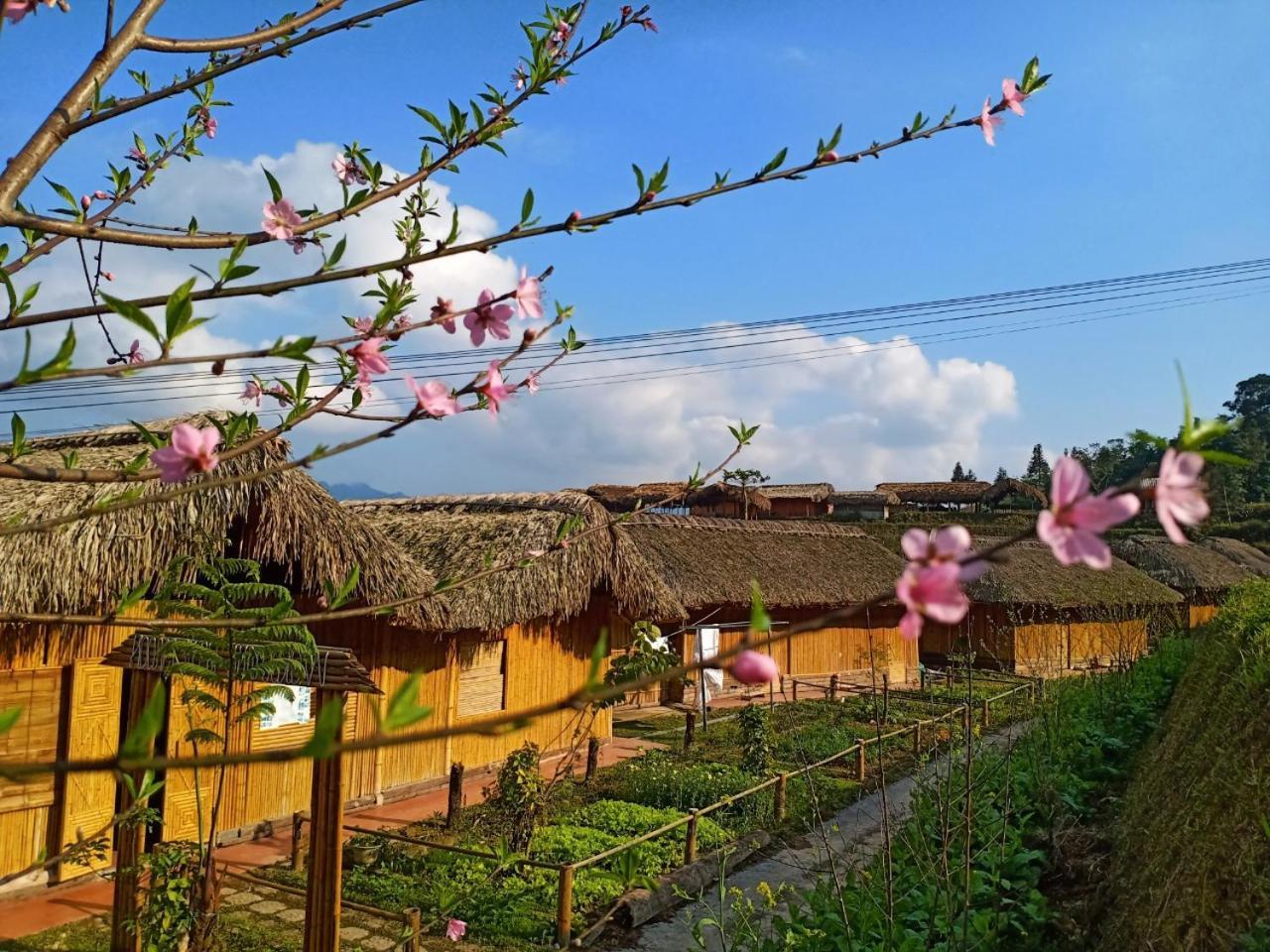 Dao Homestay Hoang Su Phi Exteriér fotografie