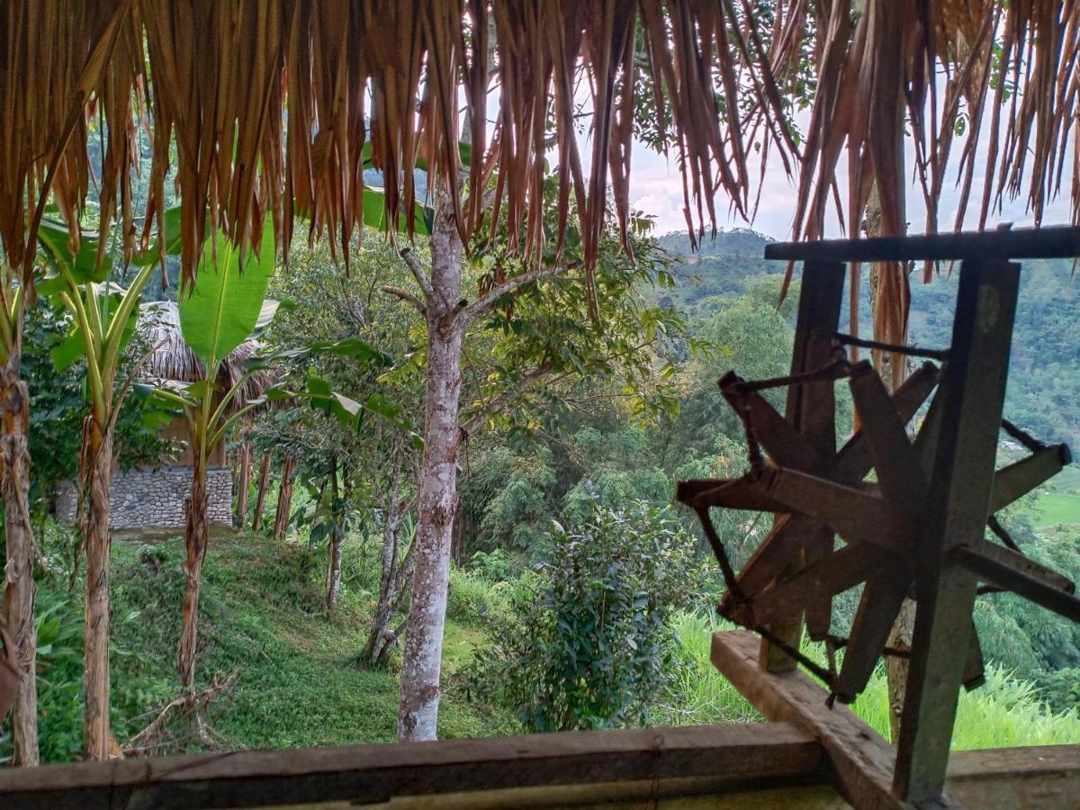 Dao Homestay Hoang Su Phi Exteriér fotografie